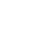 Fsp Technology Inc