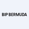 BIP Bermuda Holdings I Limited 5.125% Perpetual Subordinated Notes